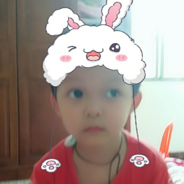 1520492 寒霜