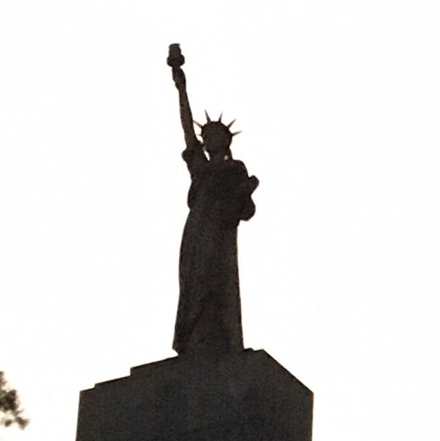 1520978 侧小卫