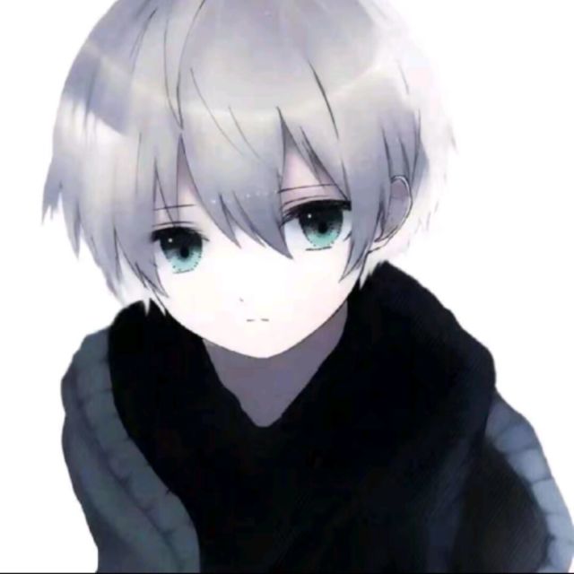 1521313 乐嘉
