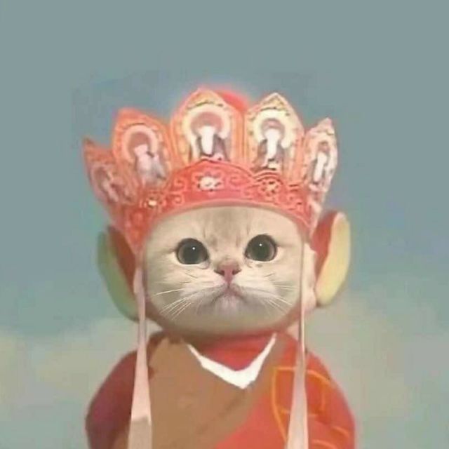 1524836 一叔网络