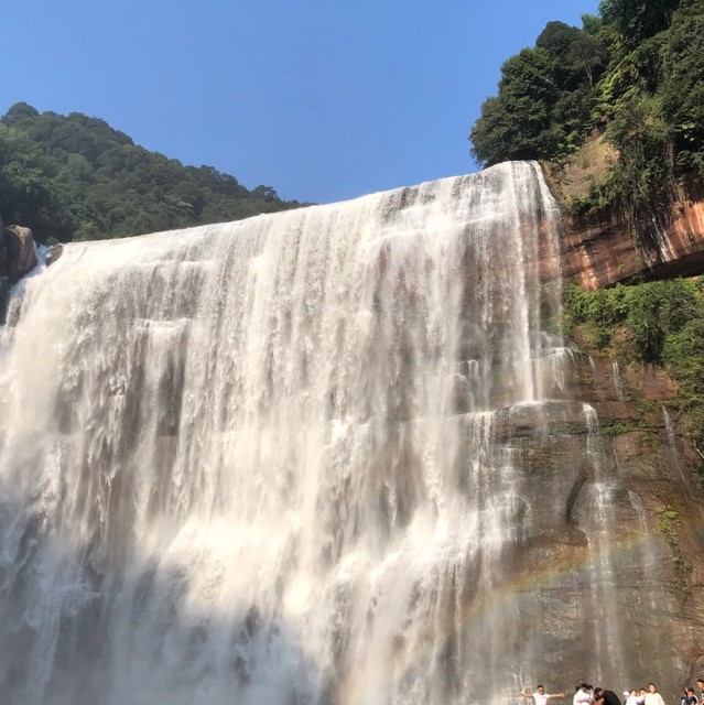 1525450 自游自在的鱼