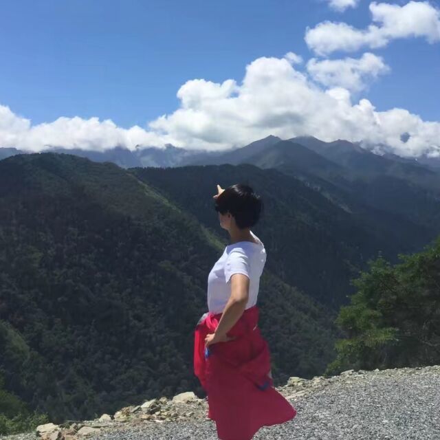 1526497 小熊