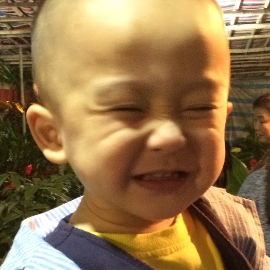 1527126 a-bob