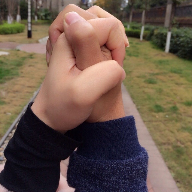 1527676 西藏力博电子科技有限公司