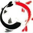 1527788 子非鱼