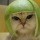 1527951 懒猫