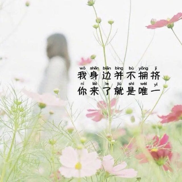 1528188 汽车保险