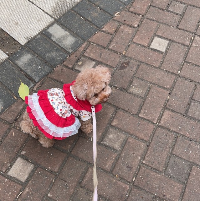 1528317 ruby