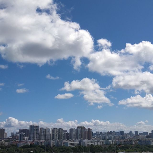 1529037 小厌子