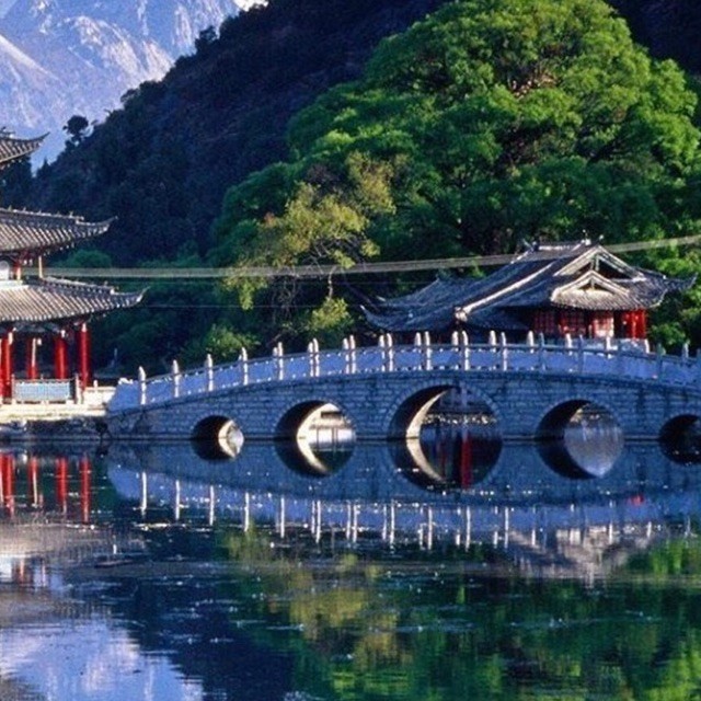 1529342 月光森林