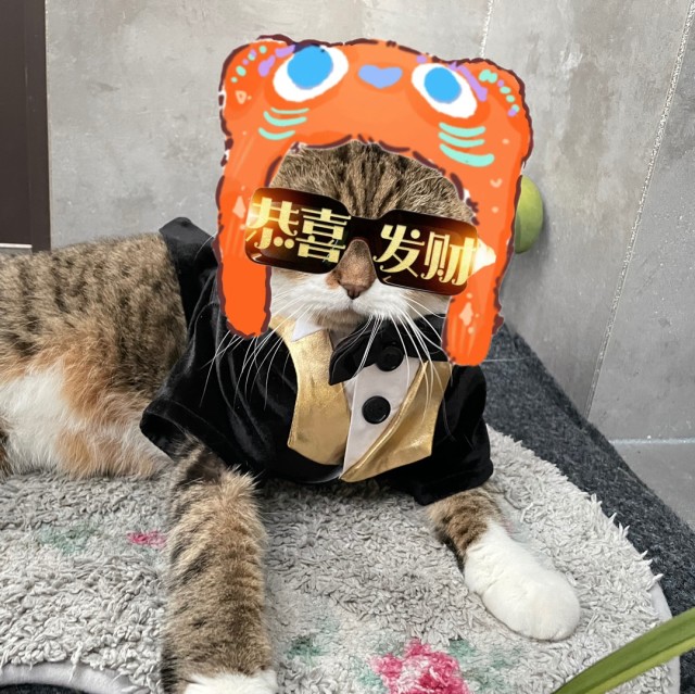 1529395 黄金土肥圆