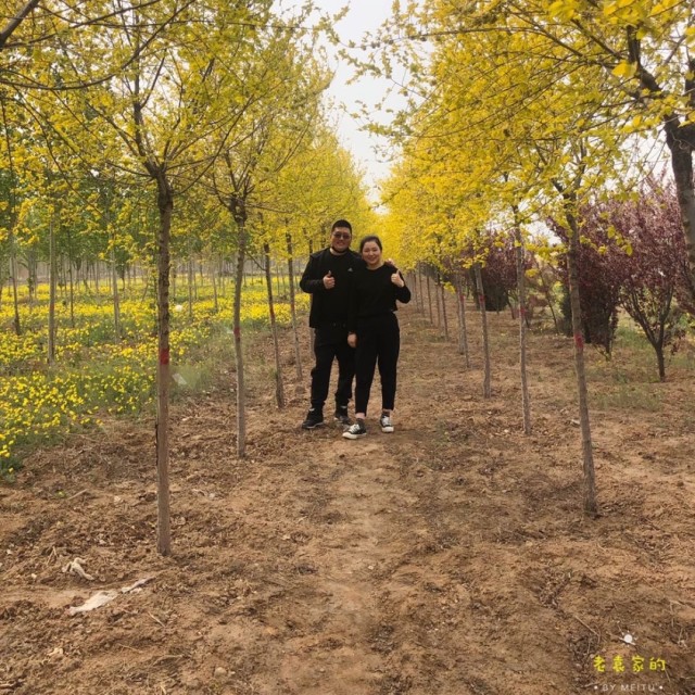 1531040 宝贝