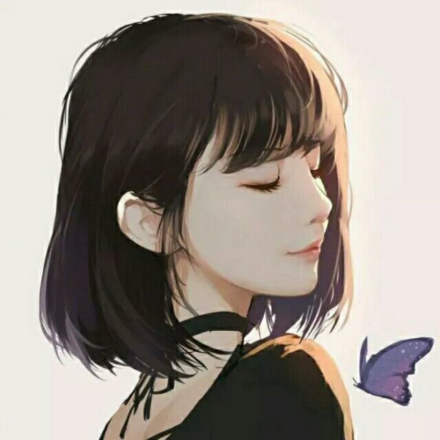 1531600  简妮妮