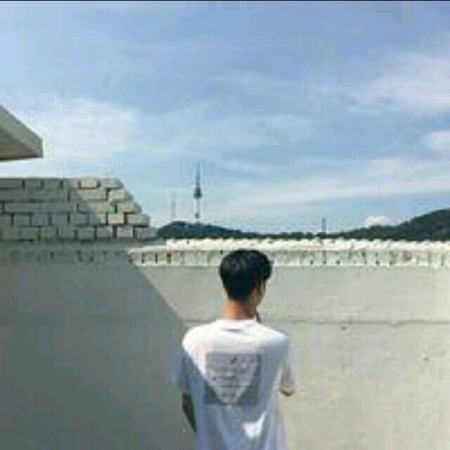1531601 
