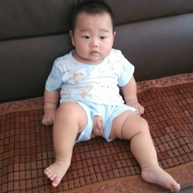 1531692 小茗
