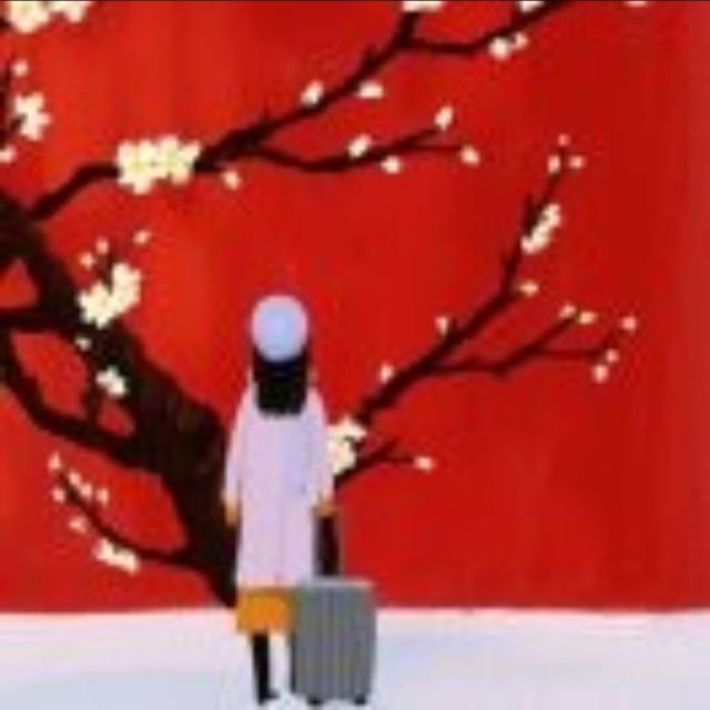 1531740 菲菲