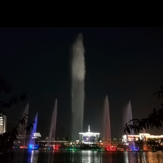 1532568 大熊