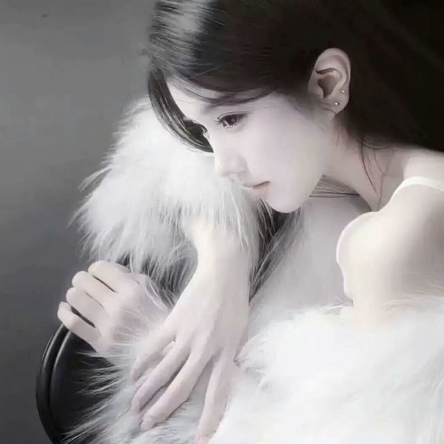 1533006 无极