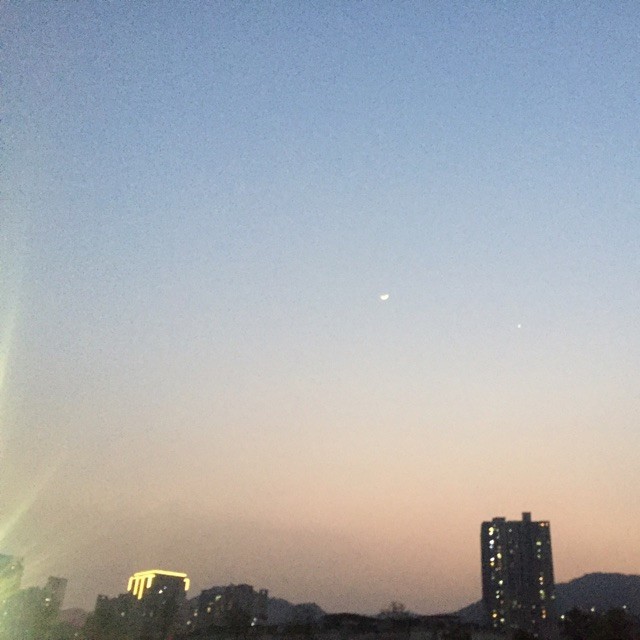 1533370 马儿快跑