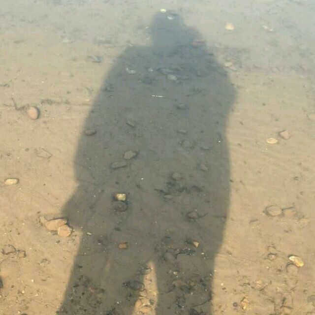 1533406 未来サ旅程
