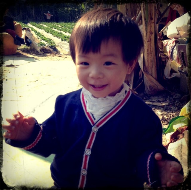 1533598 Yao