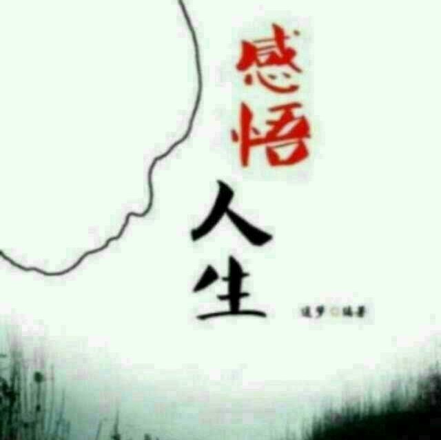 1533698 1533698