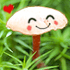 1533833 hong