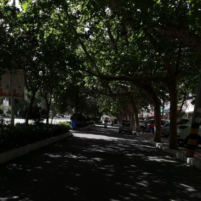 1534087 等待
