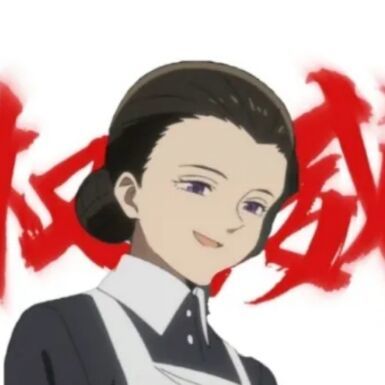 1534282 不公开