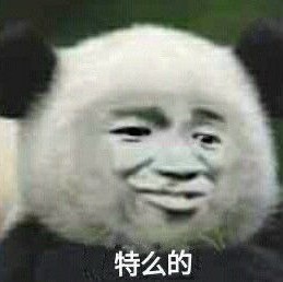 1534304 帅的一塌糊涂