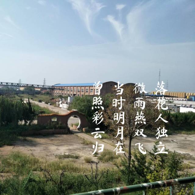 1535897 老田