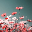1536707 懒人小Z