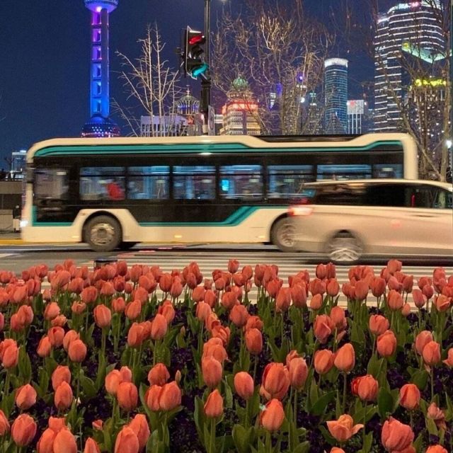 1536711 歲钥无声