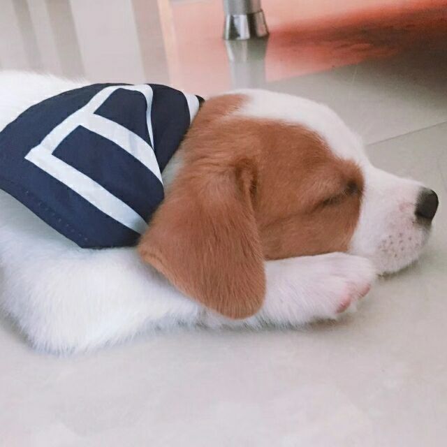 1536717 寂寞的风