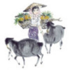1536864 網漸雲湮