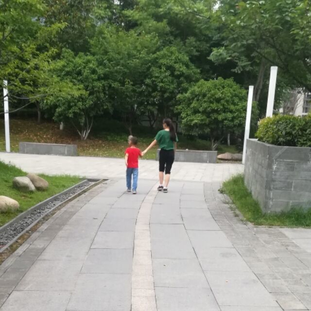 1537194 青蛙公主