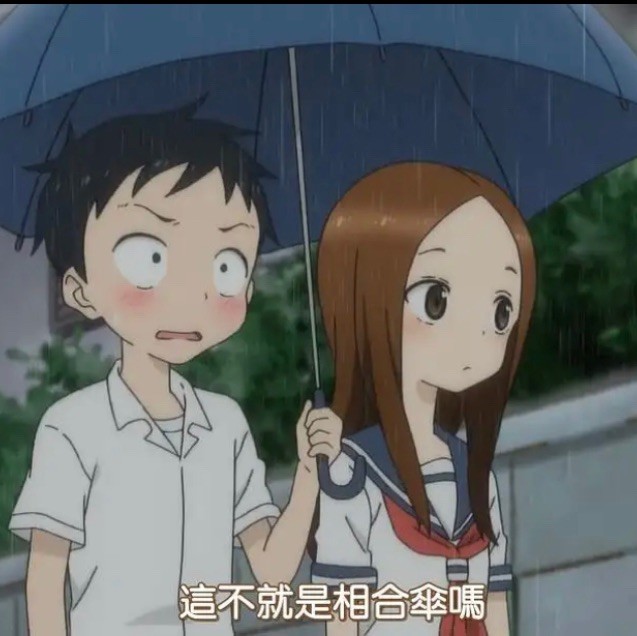 1537700 爱上猫的笨鱼