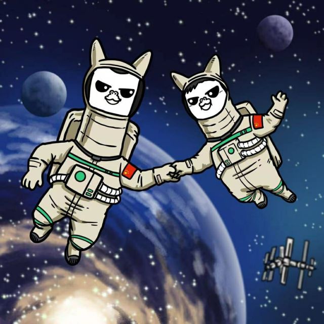 1538212 无心插柳