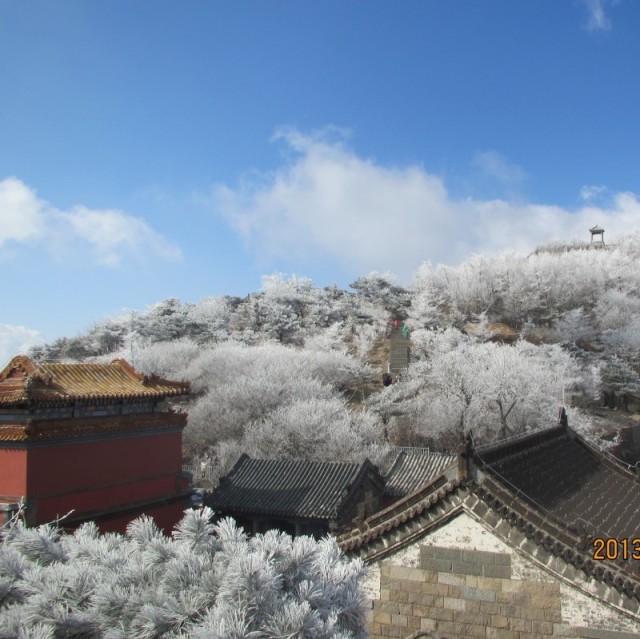1538406 闫堃