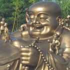 1538517 缘梦