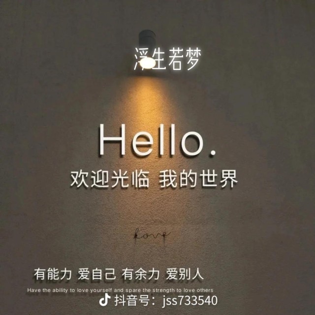 1538580 阳光