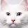 153942 笨猫猫