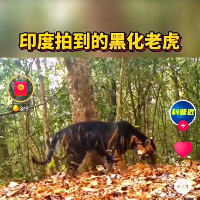 1539592 韶友五金液压有限公司