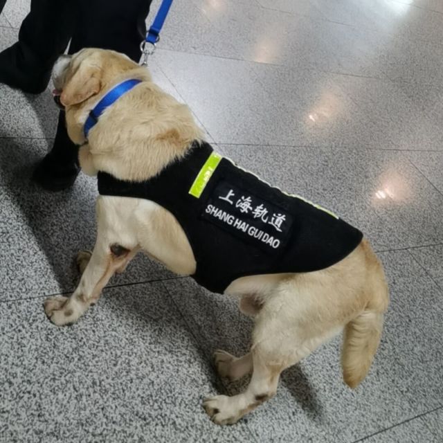 1539867 ◇﹎靜靜ゞの囬億﹎〃