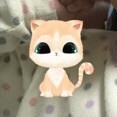 1540398 核桃