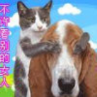 1540495 幸福有多远