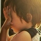 1541223 、掌舵的鱼