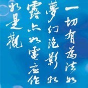 1541543 真金不镀