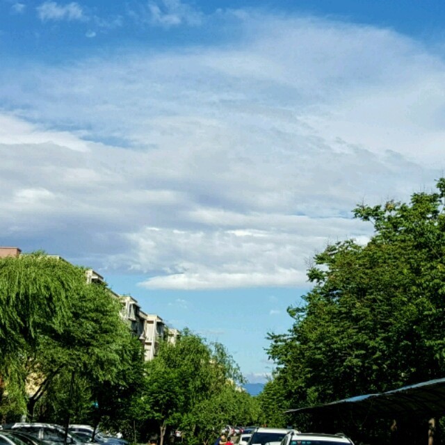 1541682 