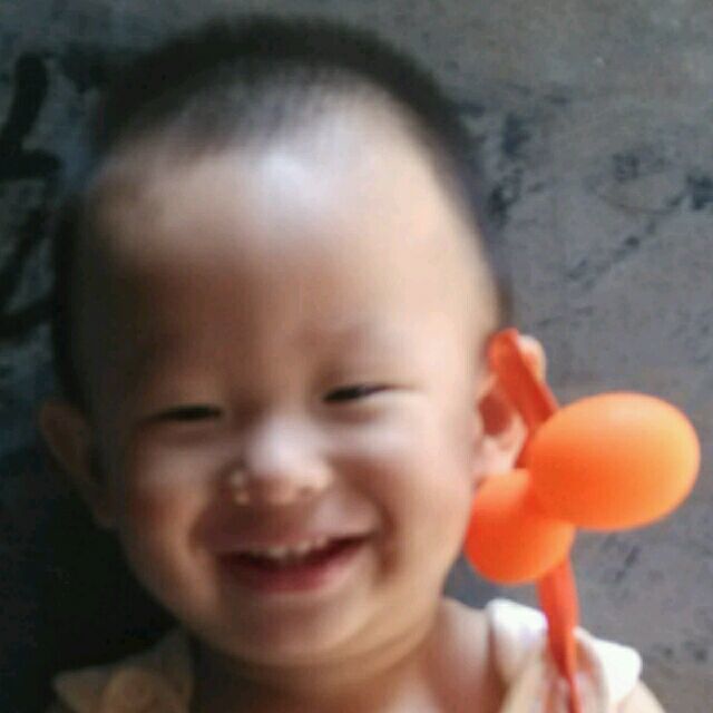 1542058 花舞花满天♡